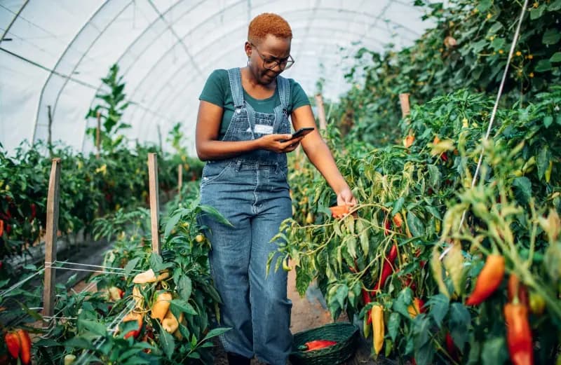 Agricultural worker